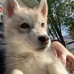 Meet your Posher, Lyndsie